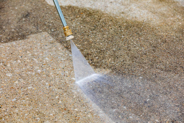 Animal Enclosure Cleaning in Buna, TX